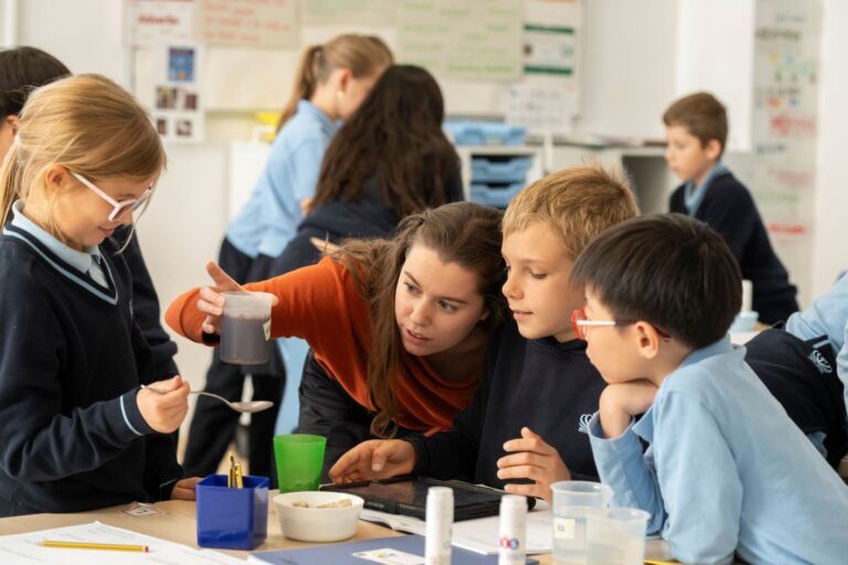 A Detailed Guide to the Levels of Education in the US Education System